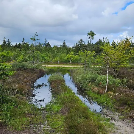 Ferienhaus 4 Person In