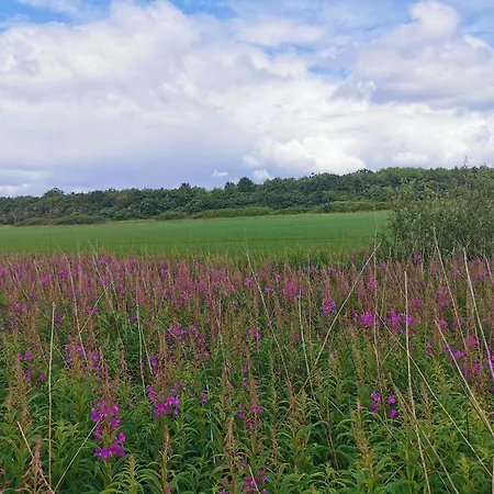 4 Person In Nørre Nebel