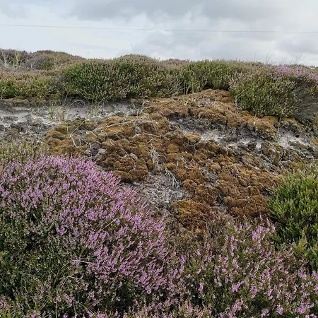 4 Person In Ferienhaus Nørre Nebel
