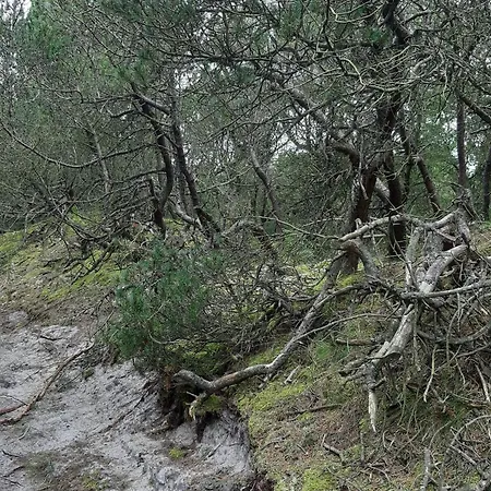 4 Person In Nørre Nebel